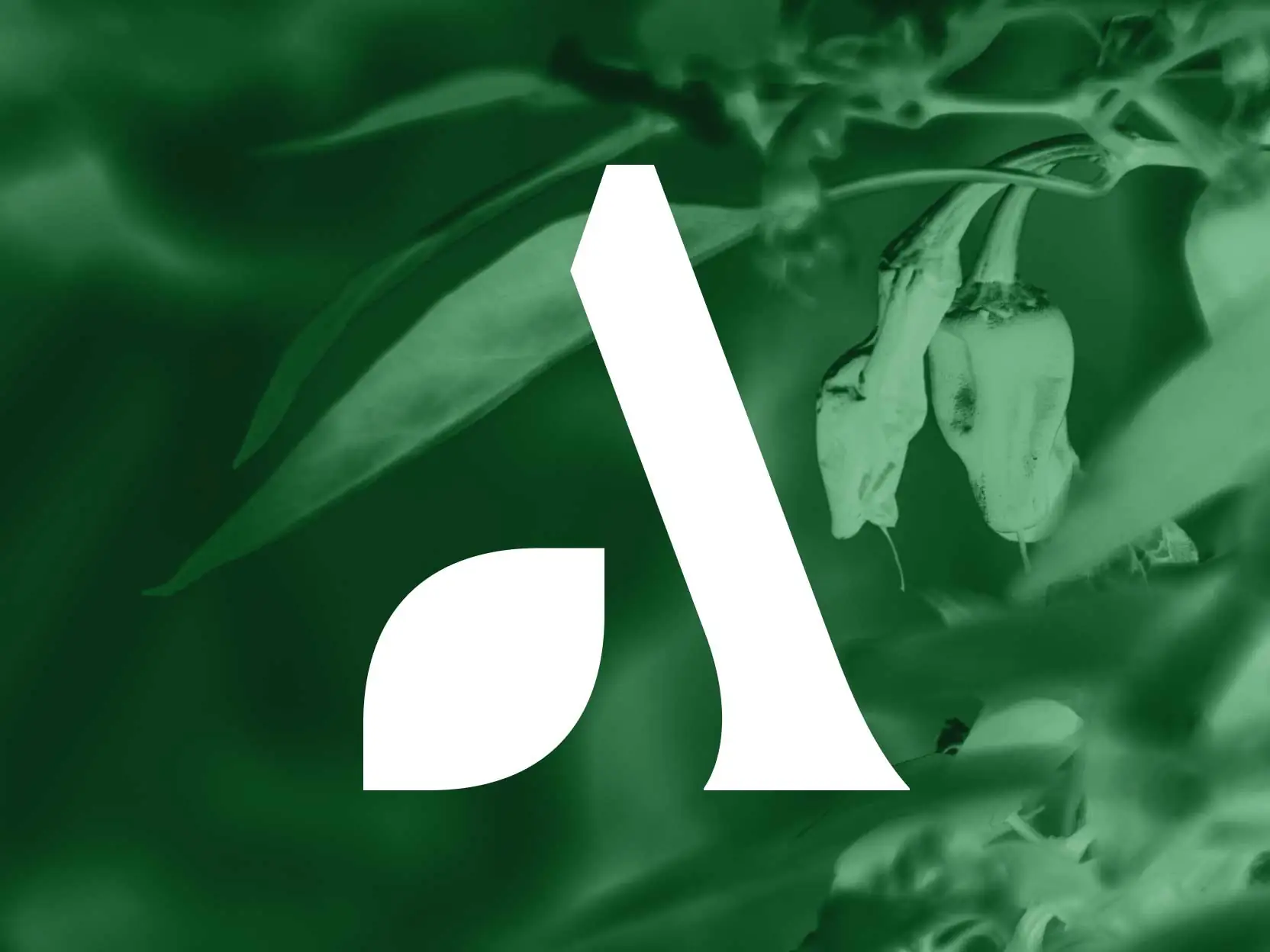 Antheia Secures $80 Million Conditional Funding Commitment from ...